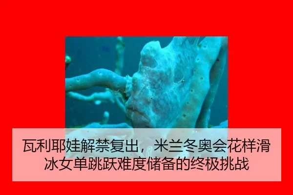 瓦利耶娃解禁复出，米兰冬奥会花样滑冰女单跳跃难度储备的终极挑战